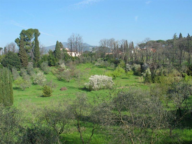 Villa Ulivi Florencia Exterior foto